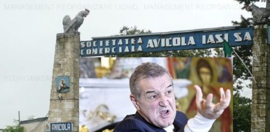 Avicola Iasi si Gigi Becali