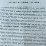 contract comuna Dumesti-Alina Cocoveica-