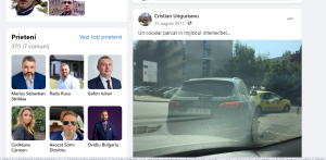 termenul cocalar folosit pe Facebook de Cristian Ungureanu