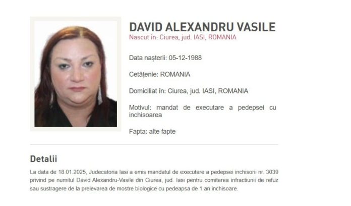 David Alexandru-Vasile